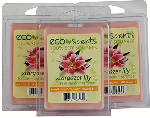 EcoScents 100% All Natural Soy Wax Melts - 
