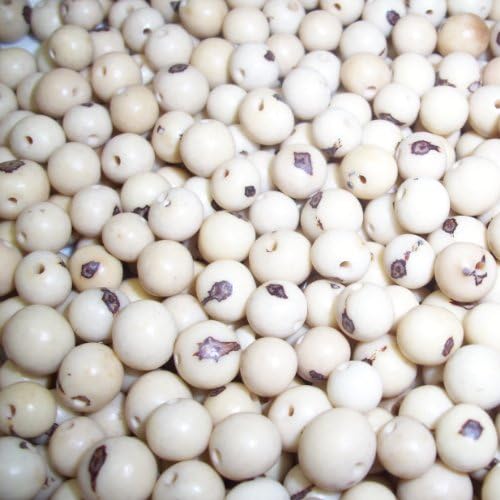 Acai Beads White Pack of 50