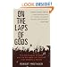 On the Laps of Gods: The Red Summer of 1919 and the Struggle for Justice That Remade a Nation