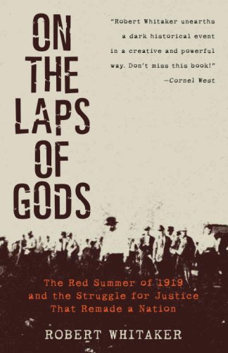 on the laps of gods the red summer of 1919 and the struggle for justice that remade a nation