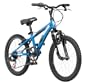 Diamondback Cobra 20 Jr Boys Mountain Bike (20-Inch Wheels)