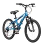 Diamondback Cobra 20 Jr Boys Mountain Bike (20-Inch Wheels)