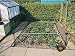 Outdoor Living : STRAWBERRY & VEGETABLE CAGE, 1.2M HIGH