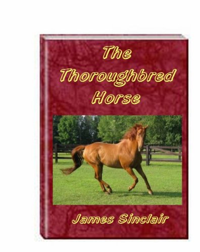 The Thoroughbred Horse