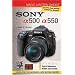 Magic Lantern Guides: Sony a500/a550