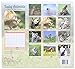 2016 Baby Animals 16 Month Wall Calendar