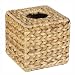 Banana Leaf Tissue Box by Whitney Design