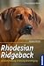 Image of Rhodesian Ridgeback: Auswahl, Haltung, Erziehung, Beschäftigung