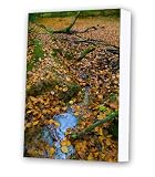 Review Eyes Wide Digital Ltd  / Friday street steam no. 4 canvas print artwork
