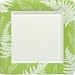 Caspari Set of Two Fern Green Square Paper Dinner Plate packages, 8 plates per package