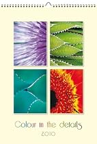 Color in the Details Oversized 2010 Calendar X324