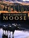 In the Company of Moose