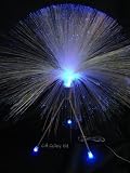 Kitchen & Housewares : Fibre Optic Lamp