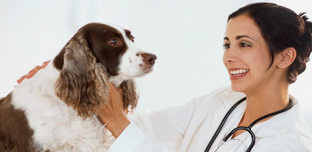 Amazon.com: Dog Seizures Treatment: Appstore for Android Amazon.com: Dog Seizures Treatment: Appstore for Android