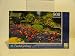 Puzzlebug 500 Piece Puzzle - Butchart Gardens, British Columbia, Canada