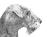 Airedale Terrier Dog 8x10 Art Print Drawing Signed Laroux