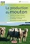 La production du mouton