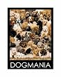 Dog Mania Jigsaw Puzzle 1000pc