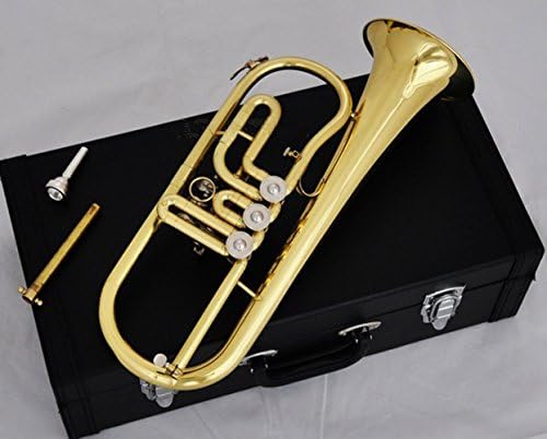 CH® Flugelhorn Professional Rotary Piston Valves Gold Brass Bb Fluge Horn with case