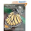 Netezza Transformation: Taming the dragon without alchemy, sorcery or strange potions