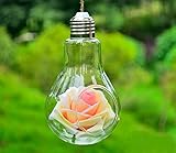 電球型のキュートなデザイン 癒し 生物 飼育 ガラス ペット 植物 テラリウム (Aタイプ) SD-TERRA01-A