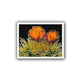 ArtWall Dean Uhlinger 'Primavera Del Desierto' Unwrapped Canvas, 40 by 52-Inch, Holds 36 by 48-Inch Image