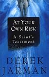 Review Hutchinson  / At Your Own Risk: A Saint's Testament