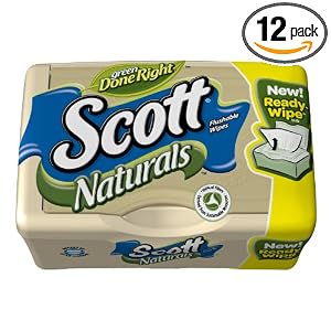 12-Pack Moist Wipes