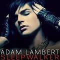 Sleepwalker