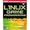 Begin a career as a game programmer