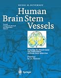 Human Brain Stem Vessels: Including the Pineal Gland and Information on Brain Stem Infarction