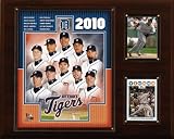 MLB Detroit Tigers 2010 Team Plaque