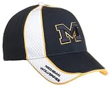 Michigan Aftermath Adjustable Cap