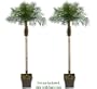 TWO 8.5' Date Phoenix Artificial Tropical Palm Trees, with No Pot,