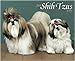 shih tzu - Just Shih Tzus 2009 Calendar From Willow Creek