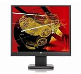 Produkt-Bild: V7 48 cm (19 Zoll) widescreen TFT Monitor (LCD, VGA, DVI, 5ms Reaktionszeit) schwarz