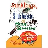 Stink Bugs, Stick Insects, and Stag Beetles: And 18 More of the Strangest Insects on Earth