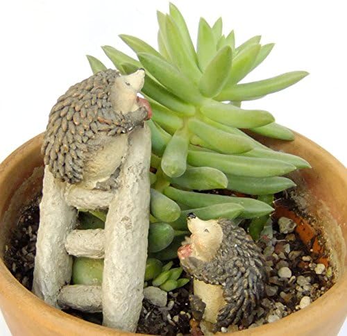 2 pcs Hedgehog Miniature Fairy Garden Terrarium Doll House Figurine Statue Decor