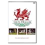 Hartson - Celtic Dragon
