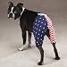 Casual Shorts - Casual Canine All-American Shorts Sm