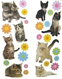 51zawTQldeL. SL160  Two Fun Time Kitten Wall Stickers Sold As a Set