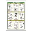Algra Fitnus Chart Series Leg Workout