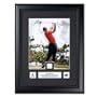 Upper Deck Tiger Woods2008 US Open Photo Montage with Tournament-Used Golf Glove Swatch - Framed (UDA)