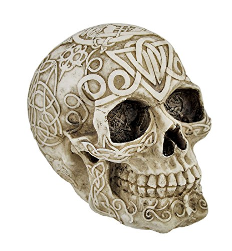 Celtic owl knotwork human skull statue pagan