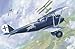 Roden Pfalz D.IIIa German Biplane Fighter Airplane Model Kit