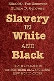 Slavery in white and black : class and race in the southern slaveholders' new world order