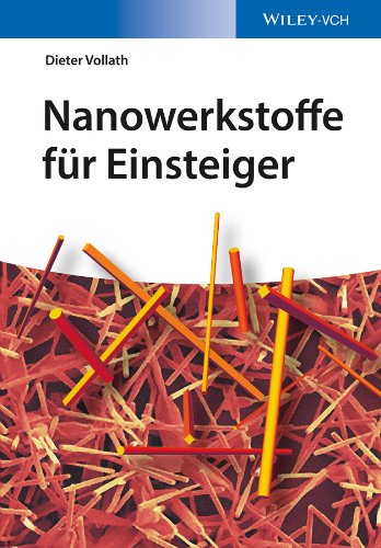 Nanowerkstoffe für Einsteiger (Verdammt clever!) (German Edition)