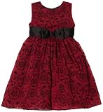 Penelope Mack Girls 2-6x Girls Sheer Flocked Dress, Burgundy, 5