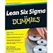 Lean Six Sigma for Dummies