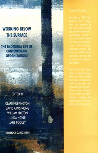 Working Below the Surface: The Emotional Life of Contemporary Organizations (The Tavistock Clinic Series)